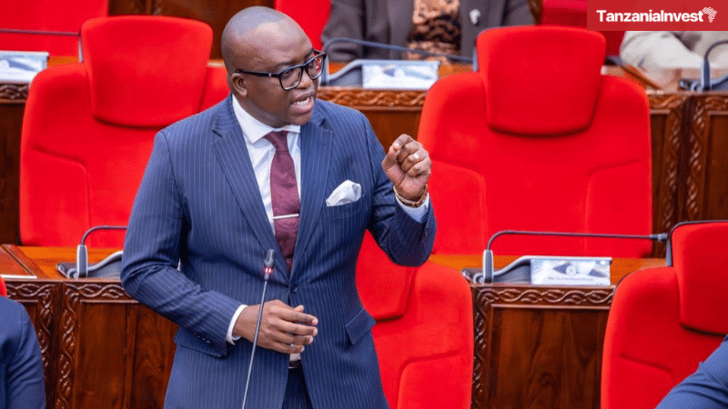 Tanzania Anthony Mavunde Parliament Bunge