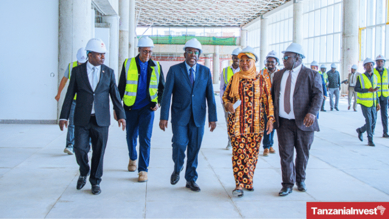 Tanzania Dodoma Msalato International Airport Inspection Khamis Omar