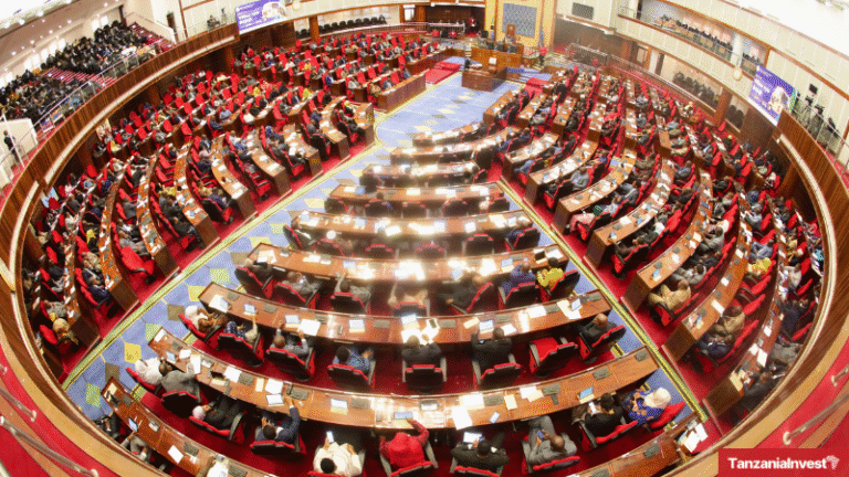 Tanzania Parliament National Assembly Bunge