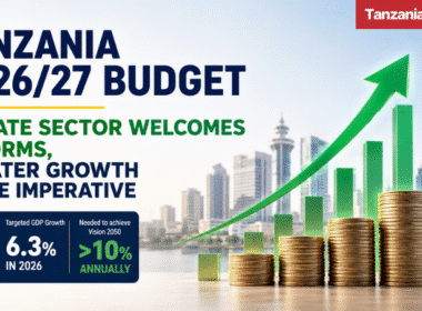 Tanzania budget 2026 2027 private sector review