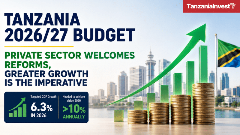Tanzania budget 2026 2027 private sector review