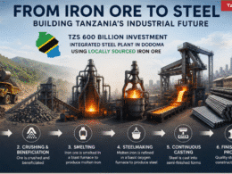 Tanzania steel plant Dodoma