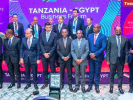 Group photo at the Tanzania Egypt Business Forum 2026