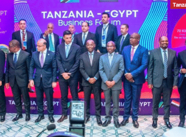 Group photo at the Tanzania Egypt Business Forum 2026