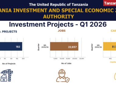 Tanzania TISEZA Investments Projects Q1 2026 January-March