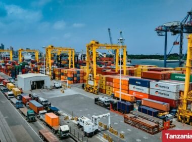 DP World Cuts Dar es Salaam Port Vessel Discharge Time by Over 90%
