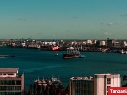 Tanzania Invests Over TZS 429 Billion in Tanga Port Expansion