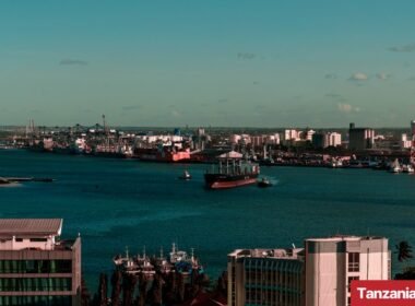 Tanzania Invests Over TZS 429 Billion in Tanga Port Expansion