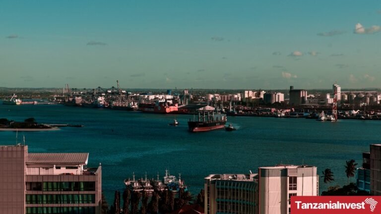 Tanzania Invests Over TZS 429 Billion in Tanga Port Expansion