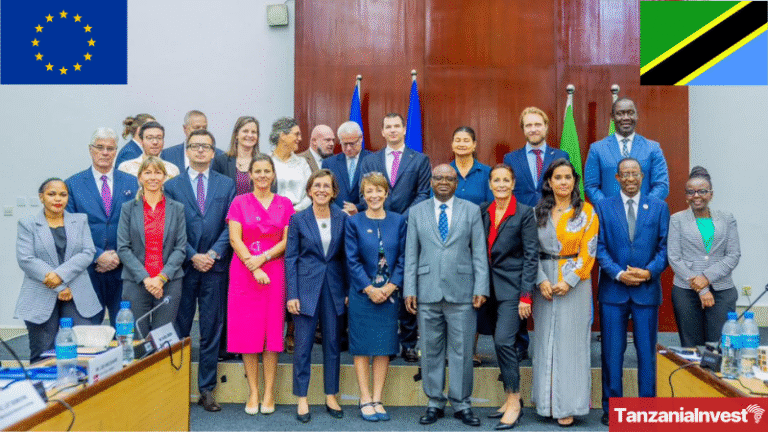 EU Tanzania dialogue 26 August2026