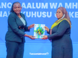 Samia Suluhu Hassan Angelina Ngalula Tanzania Vision 2050 implementation