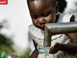 Tanzania boreholes drilling program