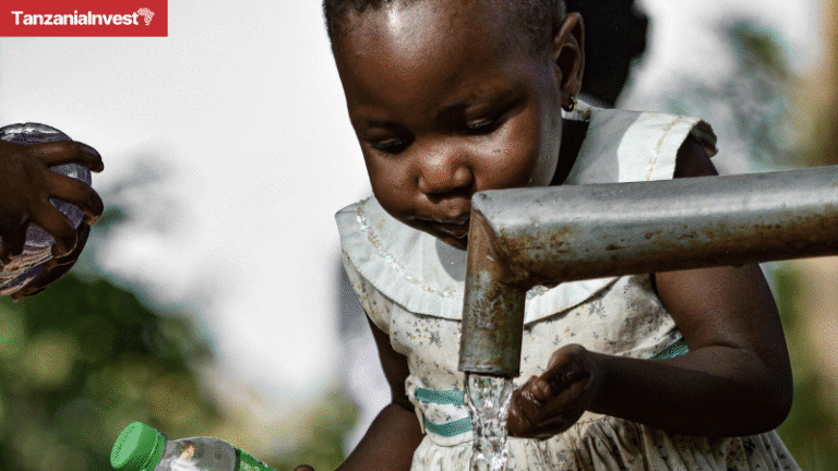 Tanzania boreholes drilling program