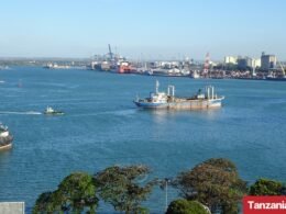 Tanzania to Shift Bulk of Port Cargo onto Rail to Cut Logistics Costs
