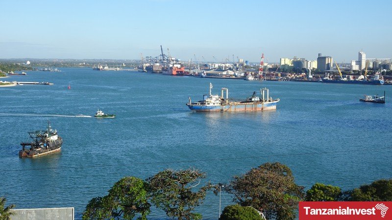 Tanzania to Shift Bulk of Port Cargo onto Rail to Cut Logistics Costs
