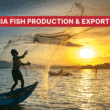 Tanzania fish production & exports 2025