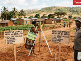 Tanzania land survey developed areas