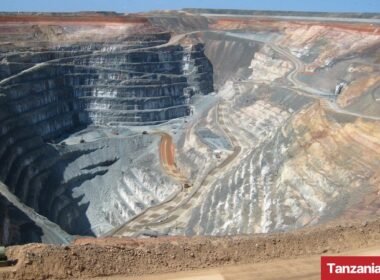 Tarime Orders Halt to Land Development for North Mara Mine TSF Dam