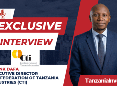 Interview Frank Dafa ED CTI TanzaniaInvest