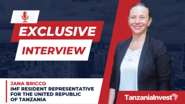 Interview Jana Bricco IMF Resident Representative Tanzania no logo