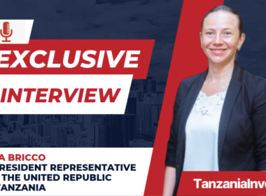Interview Jana Bricco IMF Resident Representative Tanzania no logo