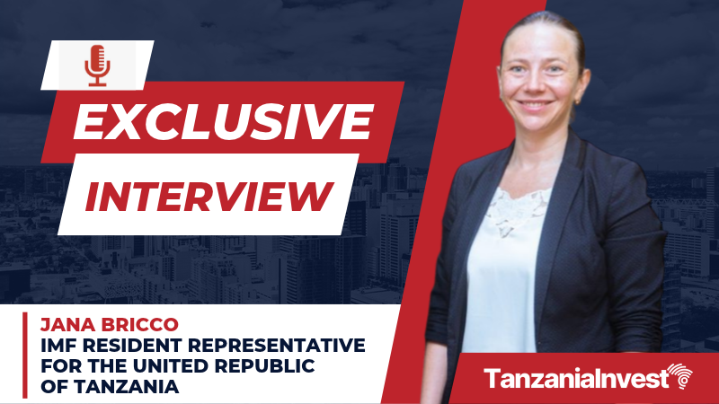 Interview Jana Bricco IMF Resident Representative Tanzania no logo