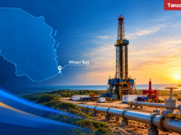 Tanzania Mnazi Bay Gas well onshore