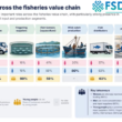 Tanzania fisheries value chain