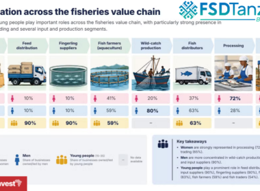 Tanzania fisheries value chain