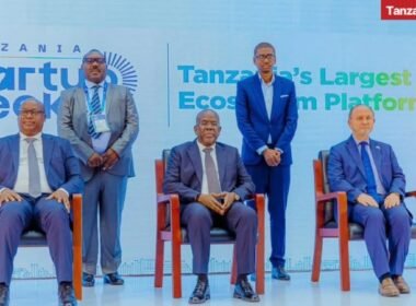 Tanzania Plans USD 50 Million Venture Capital Fund to Mobilise USD 180 Million for Startups and SMEs